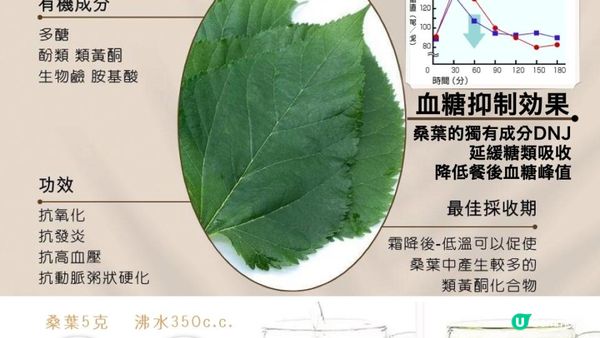 每日1杯🍵 #糖尿剋星