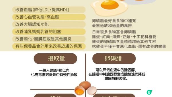 【#1日3隻 都未死得】蛋黃先至降膽固醇🥚