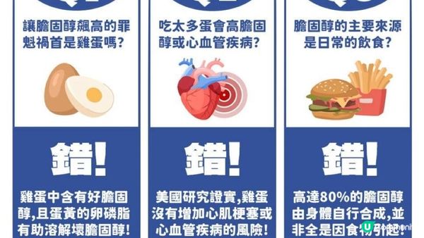 【#1日3隻 都未死得】蛋黃先至降膽固醇🥚