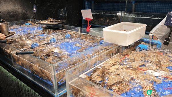 深圳舟市水產， 現撈即食海鮮， 魚生熟食等，現在還有大閘蟹任...