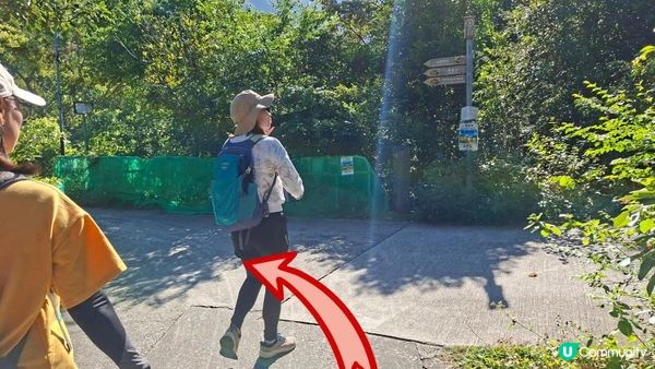 【大嶼山昂坪至水口行山篇】西狗牙嶺🦷、一線生機、狗牙嶺🦷、東狗牙嶺🦷