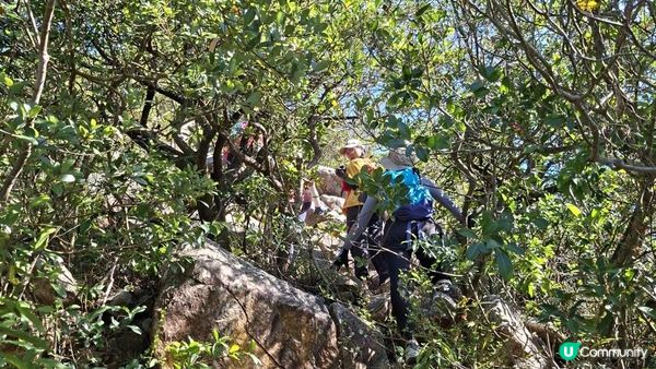 【大嶼山昂坪至水口行山篇】西狗牙嶺🦷、一線生機、狗牙嶺🦷、東狗牙嶺🦷