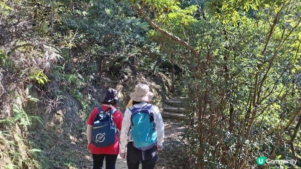 【大嶼山昂坪至水口行山篇】西狗牙嶺🦷、一線生機、狗牙嶺🦷、東狗牙嶺🦷