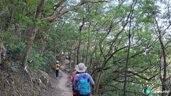 【大嶼山昂坪至水口行山篇】西狗牙嶺🦷、一線生機、狗牙嶺🦷、東狗牙嶺🦷