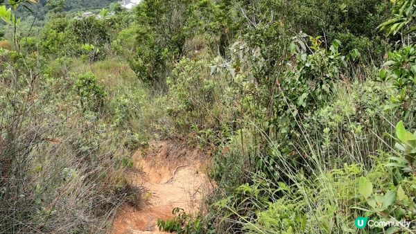 【沙田突破青年至西貢蠔涌行山篇】女婆山、豆腐石/梅鑽石、元陽石、水牛山