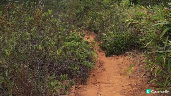 【沙田突破青年至西貢蠔涌行山篇】女婆山、豆腐石/梅鑽石、元陽石、水牛山