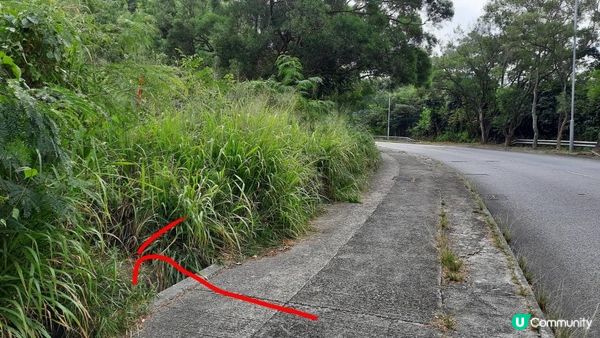 【沙田突破青年至西貢蠔涌行山篇】女婆山、豆腐石/梅鑽石、元陽石、水牛山