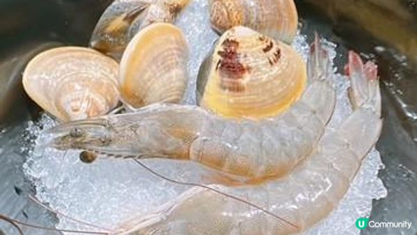 火鍋時間到了@鍋霸吃到飽台式養生火鍋