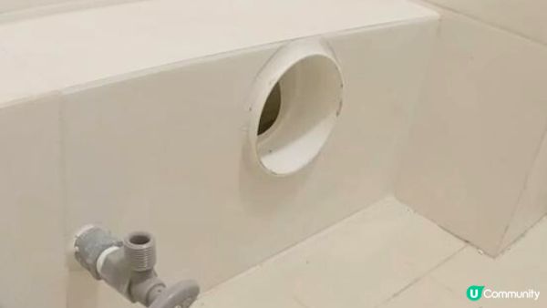【裝修佬文章轉載】細單位座廁選購指南：沖力、尺寸、避枕位一次過睇清