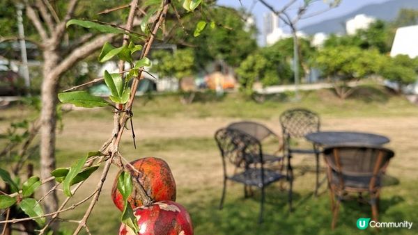 【蓮麻坑•湖畔山谷2日1夜Glamping⛺️】➕️ 麥景陶碉堡，蓮麻坑鉛礦洞