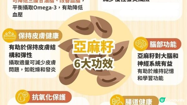【#手腳冰冷必吃】超級食物🔍黃金粉末之稱
