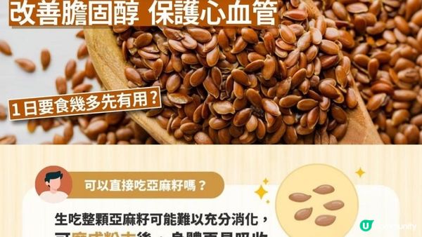 【#手腳冰冷必吃】超級食物🔍黃金粉末之稱