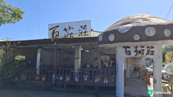 Xinshe Mushroom Farm Experience | Taichung, Taiwan