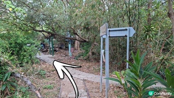 【東龍島行山篇】南堂咀/184燈塔，望東窩頂，南堂頂🚷禁止進入南堂尾🙅‍♀️白崖