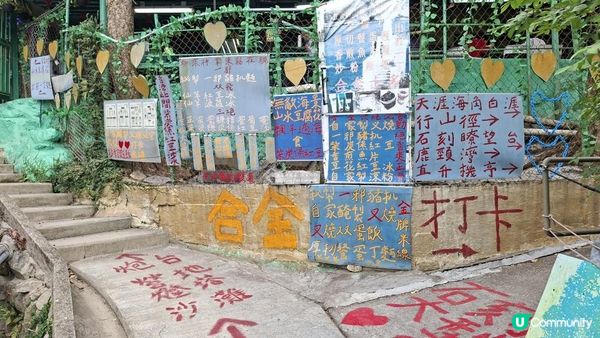 【東龍島行山篇】南堂咀/184燈塔，望東窩頂，南堂頂🚷禁止進入南堂尾🙅‍♀️白崖