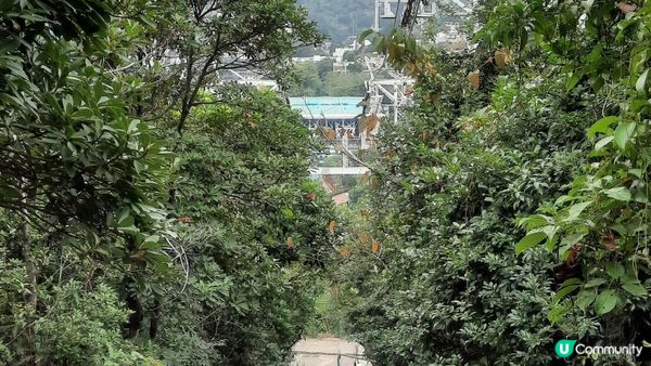 【南朗山鴨脷洲行山篇】纜車徑、南朗山、玉桂山、女鬼手岩、鴨脷排燈塔