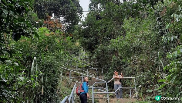 【南朗山鴨脷洲行山篇】纜車徑、南朗山、玉桂山、女鬼手岩、鴨脷排燈塔