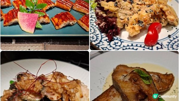 深圳福田食好嘢😋【大葉日本料理•放題🍣🦪】