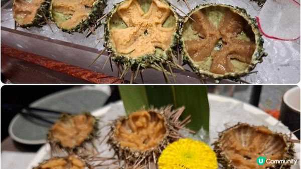 深圳福田食好嘢😋【大葉日本料理•放題🍣🦪】