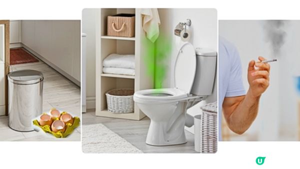 【裝修佬文章轉載】水性環保油漆邊隻好？立邦抗甲醛淨味兒童漆系列，滿足戶主各類需求