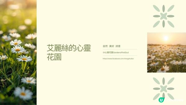 今日心靈小語 : “別讓一時的情緒，否定你一直的努力。”