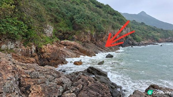 【西貢清水灣打卡篇】扭紋洞，鷹咀石🦅