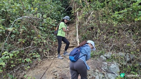 【西貢清水灣打卡篇】扭紋洞，鷹咀石🦅