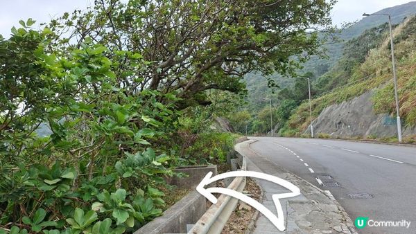 【西貢清水灣打卡篇】扭紋洞，鷹咀石🦅