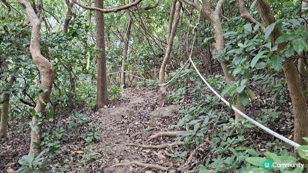 【西貢清水灣打卡篇】扭紋洞，鷹咀石🦅