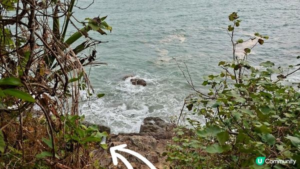 【西貢清水灣打卡篇】扭紋洞，鷹咀石🦅