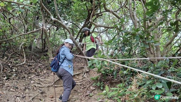 【西貢清水灣打卡篇】扭紋洞，鷹咀石🦅