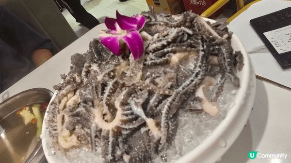 每天在繁忙都市穿梭，最好星期六、日出外走走，近近地上轉深圳遊...