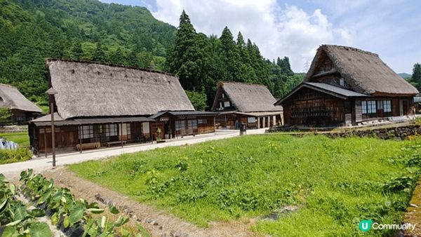完好保留著日本原始生態風景的秘境白川鄉合掌村。這個被群山環繞...