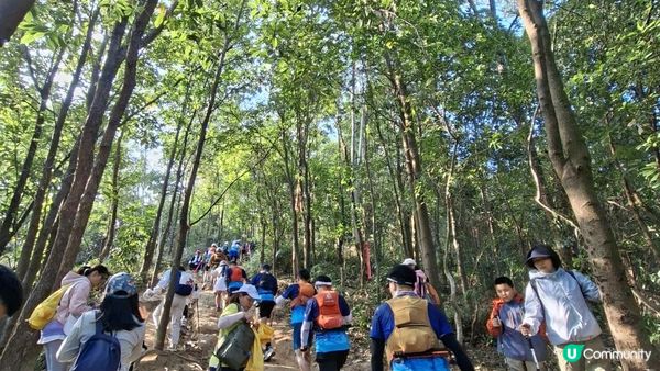 【深圳坪山10號橋至園山風景區正門行山篇】打鼓嶂、深圳版千島湖、鵝公髻、深圳版張家界😅🥰一綫天