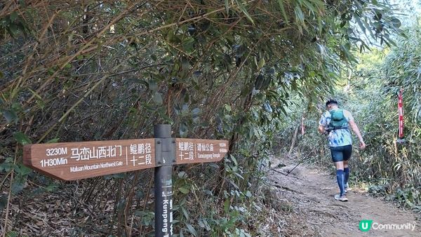 【深圳坪山10號橋至園山風景區正門行山篇】打鼓嶂、深圳版千島湖、鵝公髻、深圳版張家界😅🥰一綫天