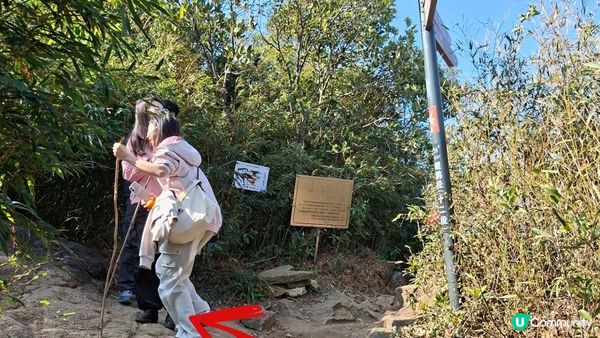 【深圳坪山10號橋至園山風景區正門行山篇】打鼓嶂、深圳版千島湖、鵝公髻、深圳版張家界😅🥰一綫天