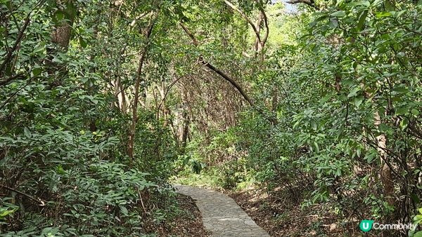 去黃石碼頭行山 由西貢行過去都係兩個鐘 沿途非常之靚嘅景色 ...