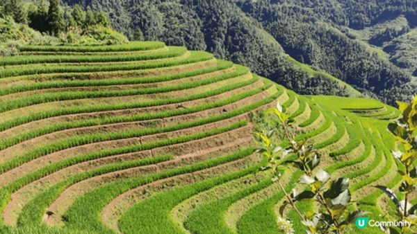 張家界不愧為世遺，無論晴天及雨天，不同天氣有不同靚景；洪崖洞...