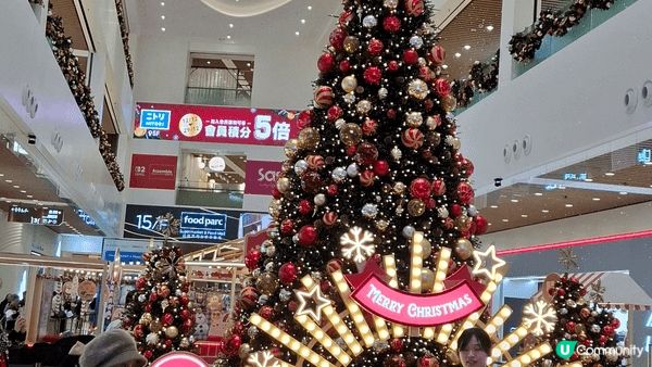 聖誕日，留港消費吃喝玩樂，看燈飾，也可以，非常高興快樂