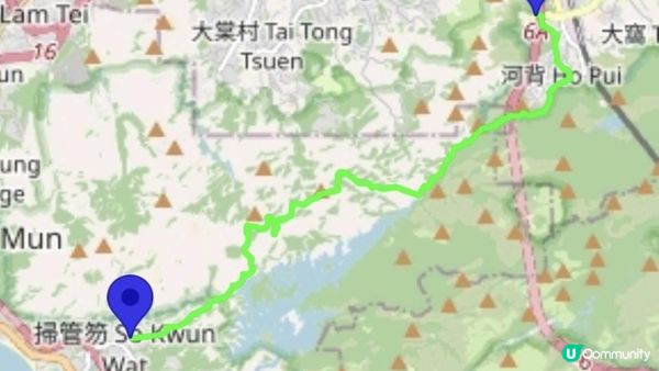 【大欖隧道轉車站至掃管笏郊遊悠】🍁🍁大棠楓香林🍁🍁千