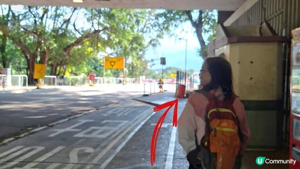 【大欖隧道轉車站至掃管笏郊遊悠】🍁🍁大棠楓香林🍁🍁千