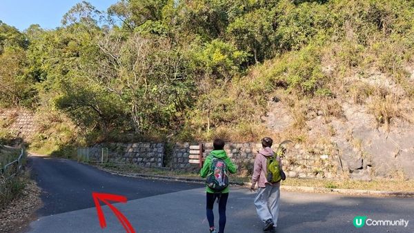 【大欖隧道轉車站至掃管笏郊遊悠】🍁🍁大棠楓香林🍁🍁千