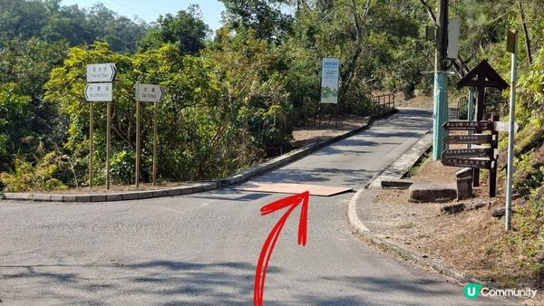 【大欖隧道轉車站至掃管笏郊遊悠】🍁🍁大棠楓香林🍁🍁千