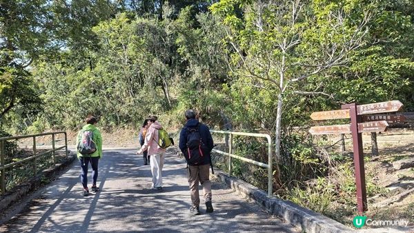 【大欖隧道轉車站至掃管笏郊遊悠】🍁🍁大棠楓香林🍁🍁千