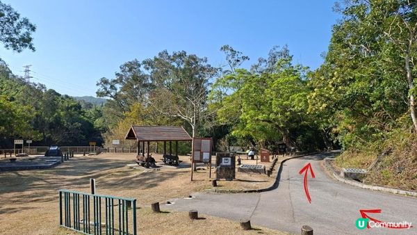 【大欖隧道轉車站至掃管笏郊遊悠】🍁🍁大棠楓香林🍁🍁千