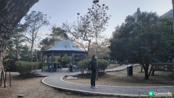 山頂（太平山）係香港島最高嘅地方，可以俯瞰維多利亞港、九龍同...