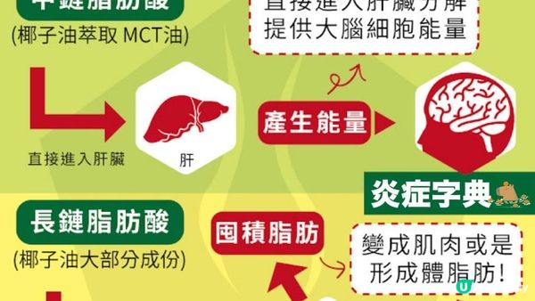 冬天唔想「月巴」🔥每日1匙MCT油 #快速燒脂