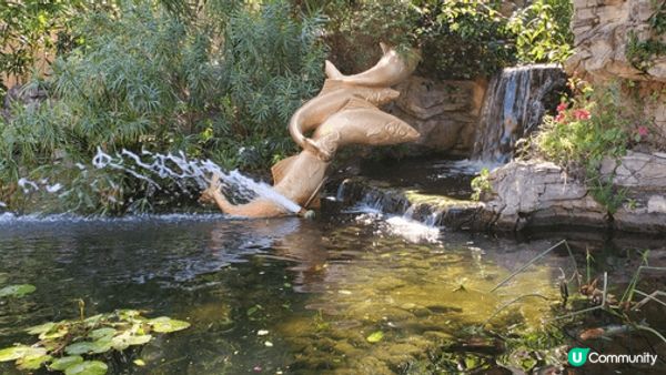 放空好去處！黃金海岸 chill 吓 🏖️