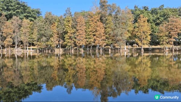東莞松山湖，一個勁似歐陸小國的地方，環境十分漂亮，人都唔多寧...