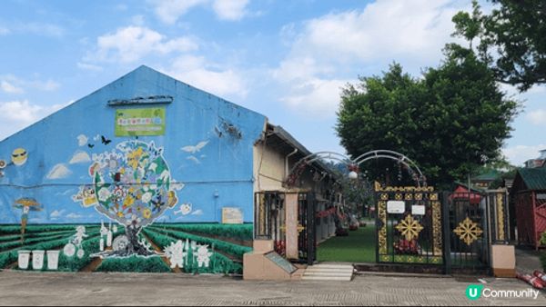 聖誕雪到了許願樹 們開心又細的一天 希望願望成真 中六合彩頭...